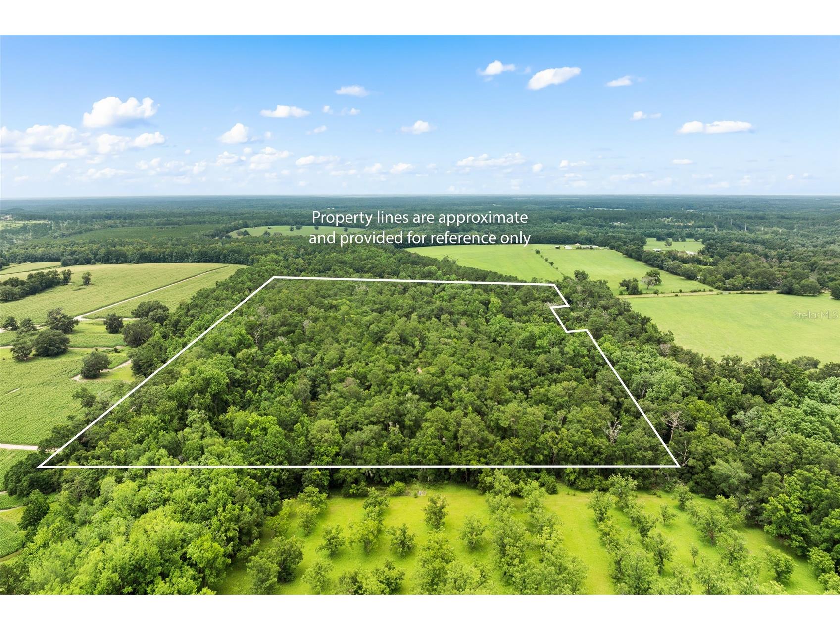 8250 Waukeenah Highway Monticello FL 32344 GC541500 image34