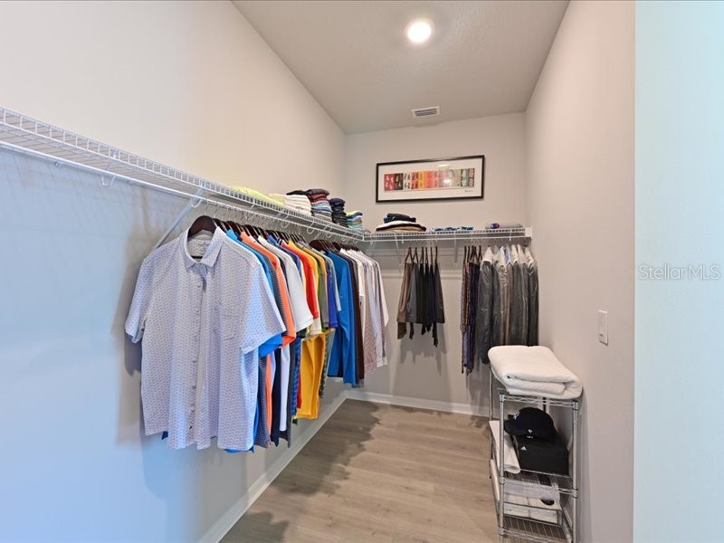 8251 Abalone Loop Parrish FL 34219 A4691952 image17
