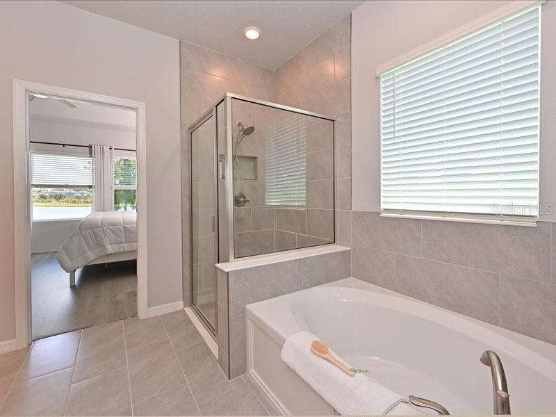 8251 Abalone Loop Parrish FL 34219 A4691952 image18