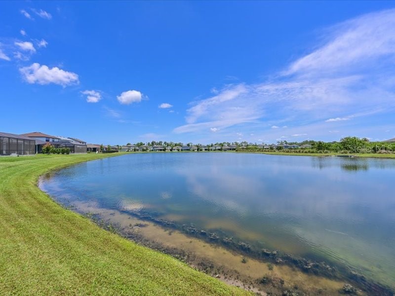 8251 Abalone Loop Parrish FL 34219 A4691952 image29