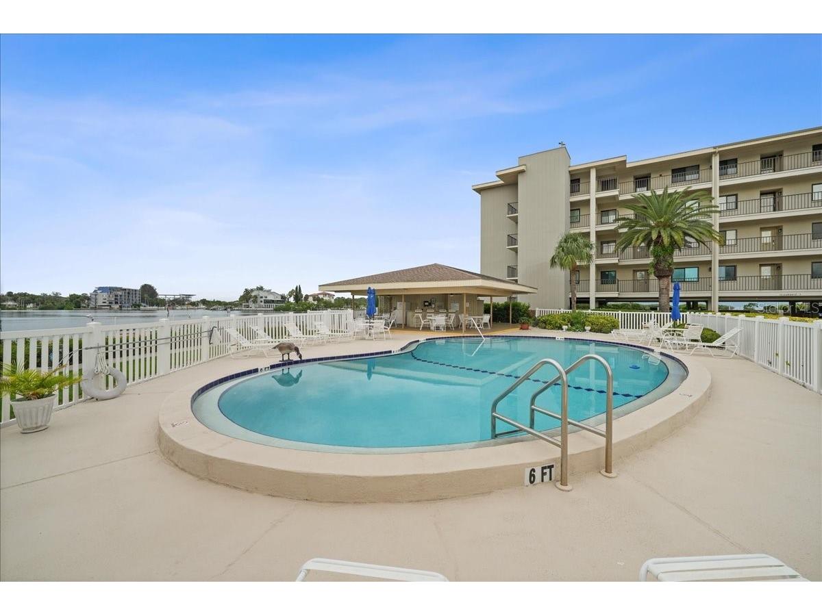 8251 Brent Street #918 Port Richey FL 34668 - GULF OF MEXICO TB8424784 image2