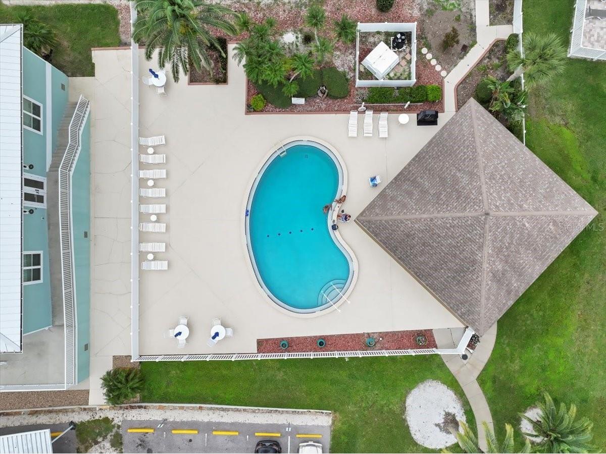 8251 Brent Street #918 Port Richey FL 34668 - GULF OF MEXICO TB8424784 image28