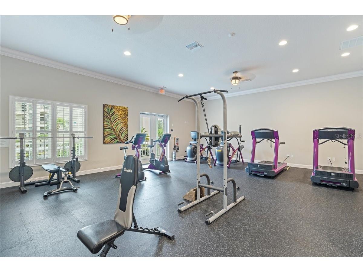 8251 Brent Street #918 Port Richey FL 34668 - GULF OF MEXICO TB8424784 image36