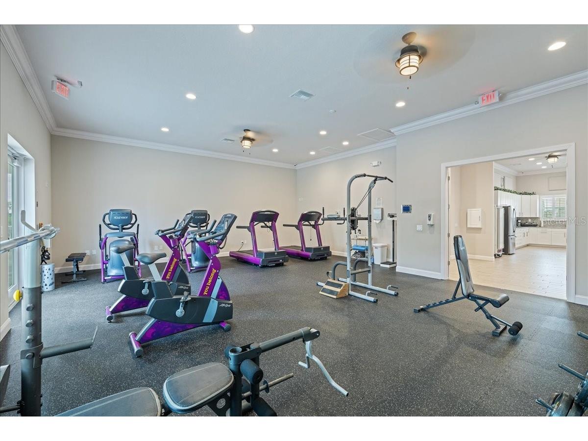 8251 Brent Street #918 Port Richey FL 34668 - GULF OF MEXICO TB8424784 image37