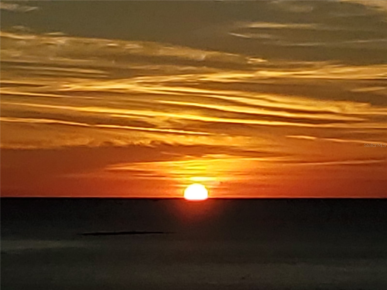 8251 Brent Street #936 Port Richey FL 34668 - GULF OF AMERICA COTEE RIVER W7884149 image36