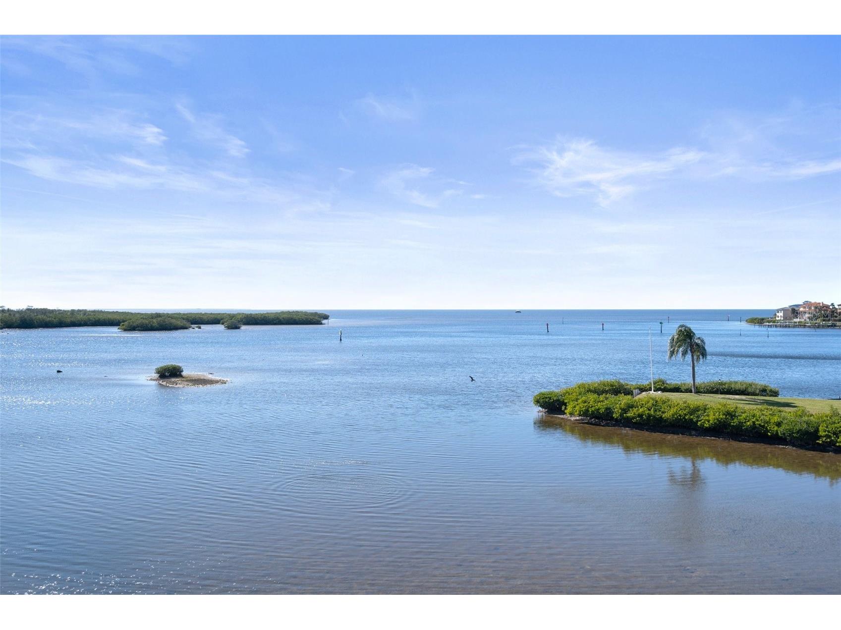 8251 Brent Street #936 Port Richey FL 34668 - GULF OF AMERICA COTEE RIVER W7884149 image38