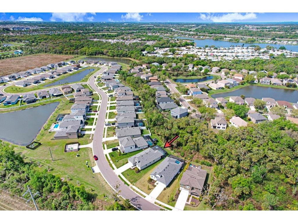 8251 Tea Olive Terrace Palmetto FL 34221 A4686793 image38