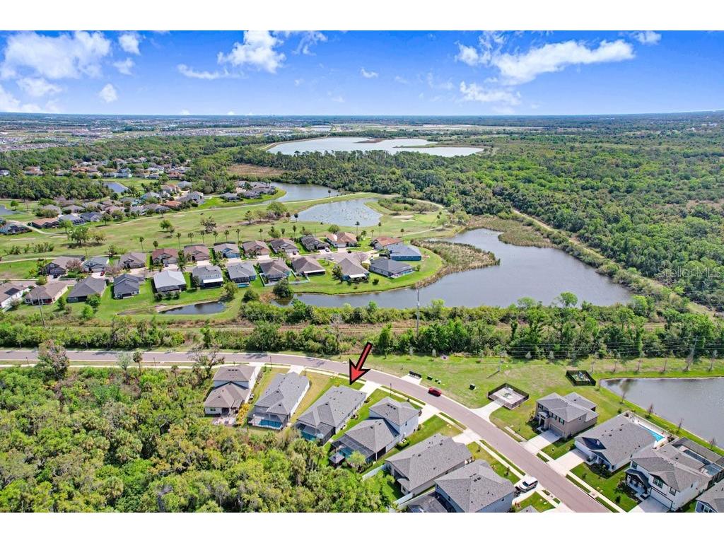 8251 Tea Olive Terrace Palmetto FL 34221 A4686793 image39