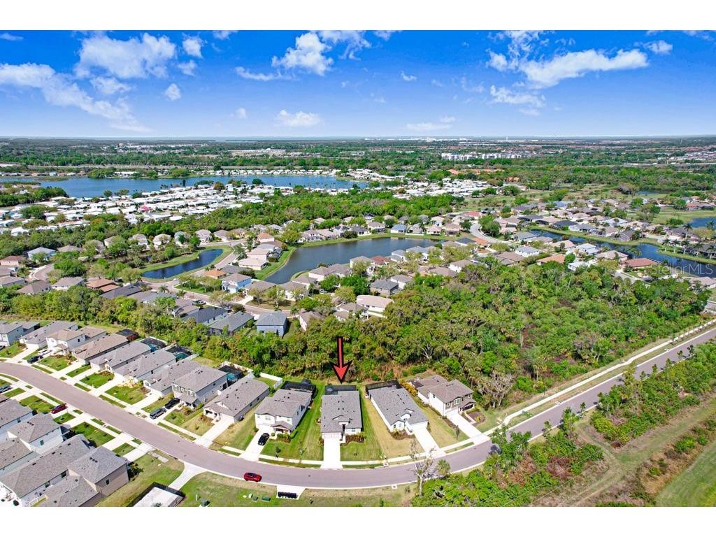 8251 Tea Olive Terrace Palmetto FL 34221 A4686793 image41