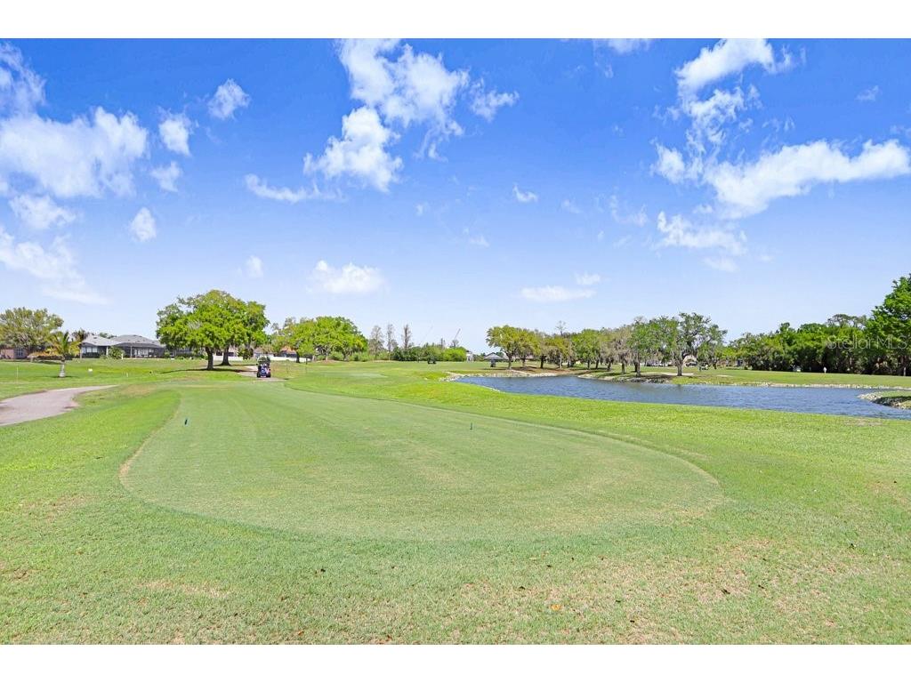 8251 Tea Olive Terrace Palmetto FL 34221 A4686793 image6