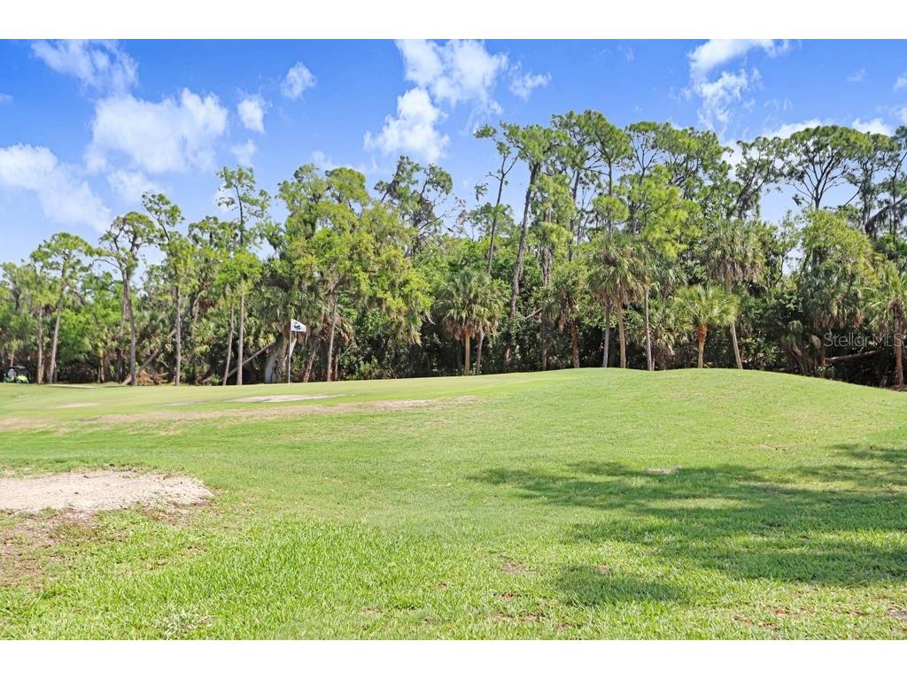 8251 Tea Olive Terrace Palmetto FL 34221 A4686793 image7