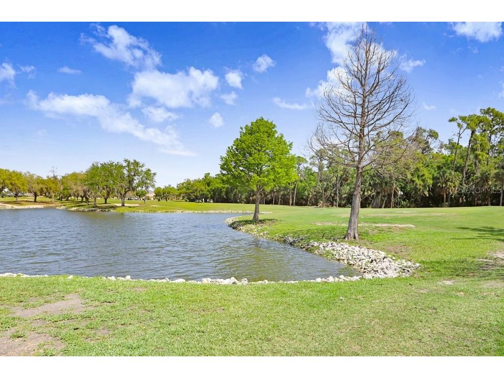 8251 Tea Olive Terrace Palmetto FL 34221 A4686793 image9