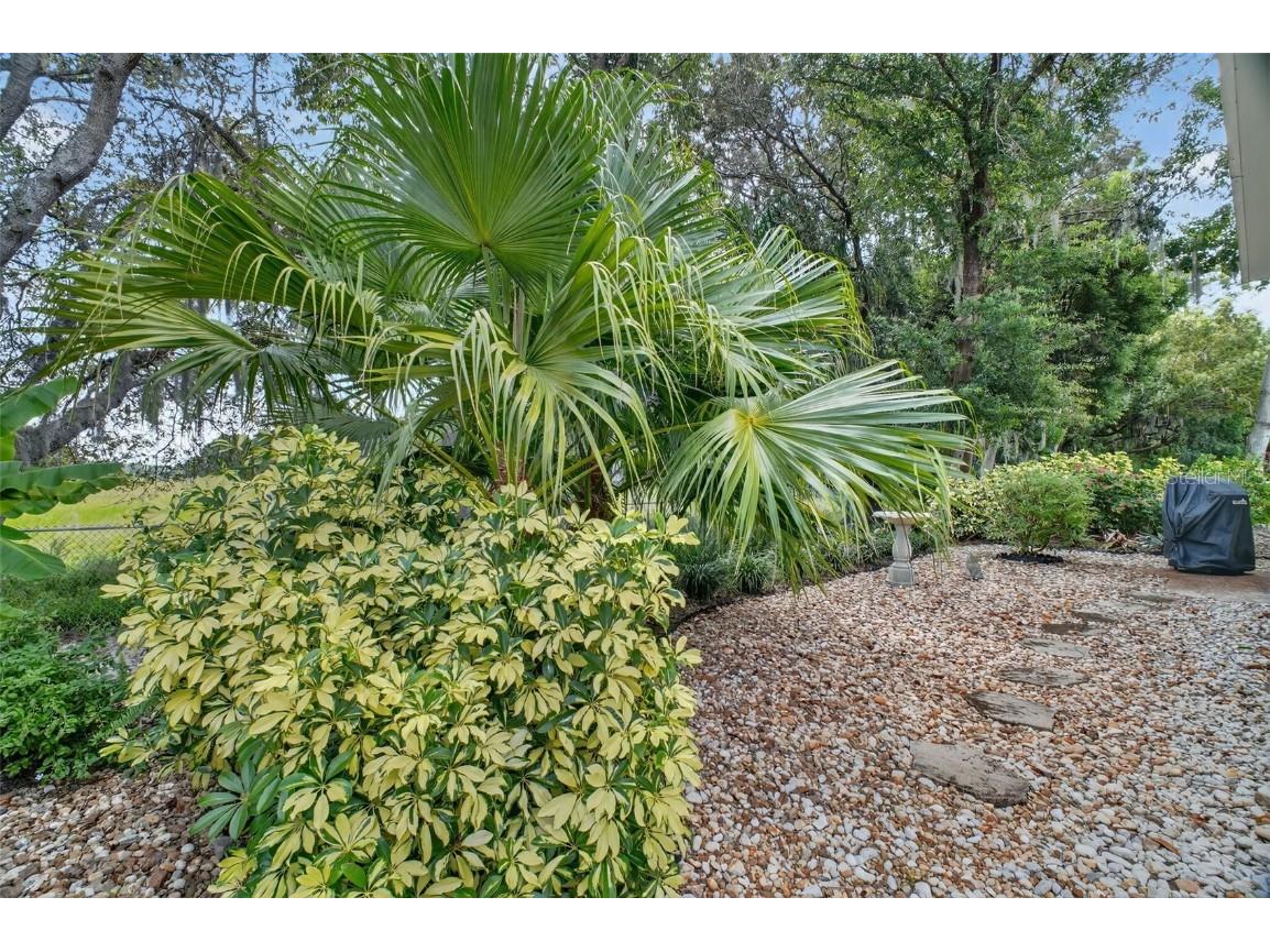 8252 Bridgeport Bay Circle Mount Dora FL 32757 - LAKES OF MOUNT DORA G5102215 image34