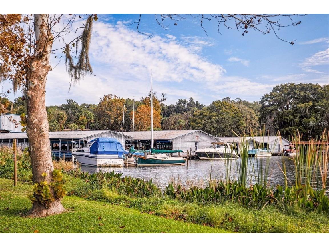 8252 Bridgeport Bay Circle Mount Dora FL 32757 - LAKES OF MOUNT DORA G5102215 image60