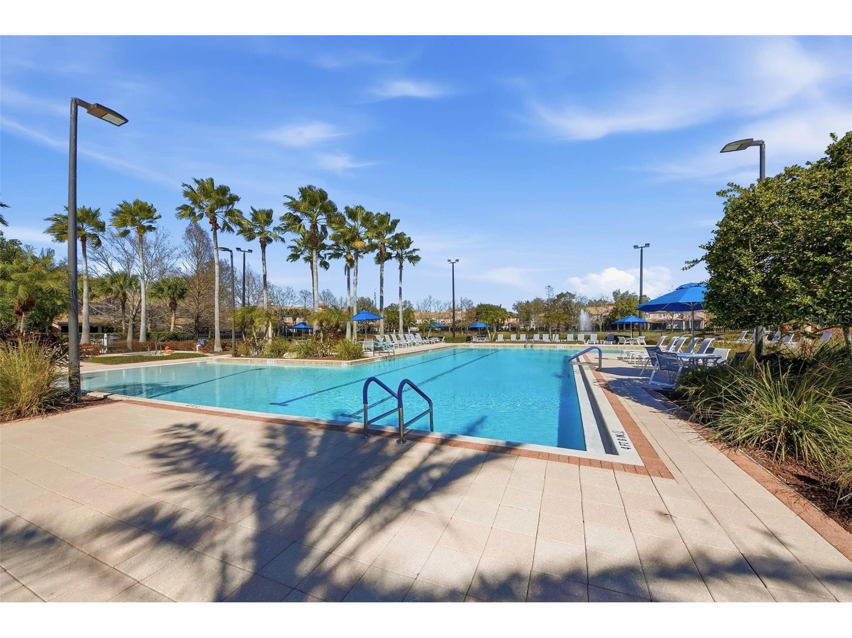 8252 Civita Drive #201 Davenport FL 33896 O6378622 image50