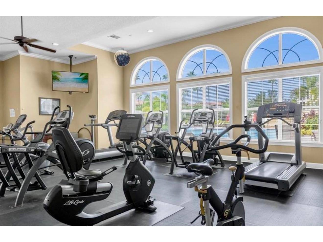 8253 Maritime Flag Street #109 Windermere FL 34786 O6402609 image25