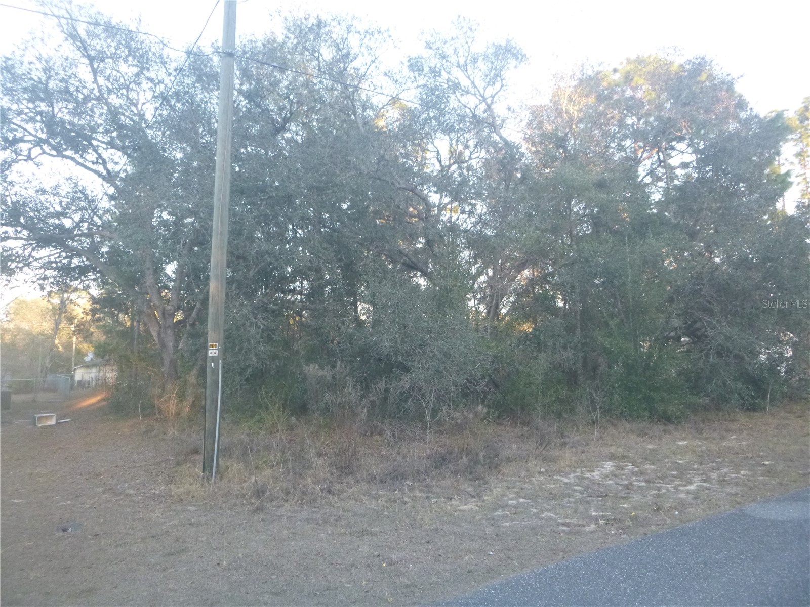 8253 N Krouse Way Dunnellon FL 34433 TB8470655 image1
