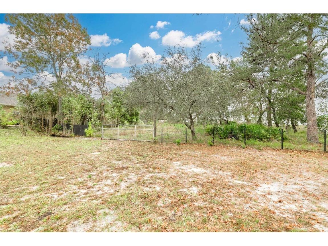 8254 Christopher Lane Weeki Wachee FL 34613 W7860413 image1