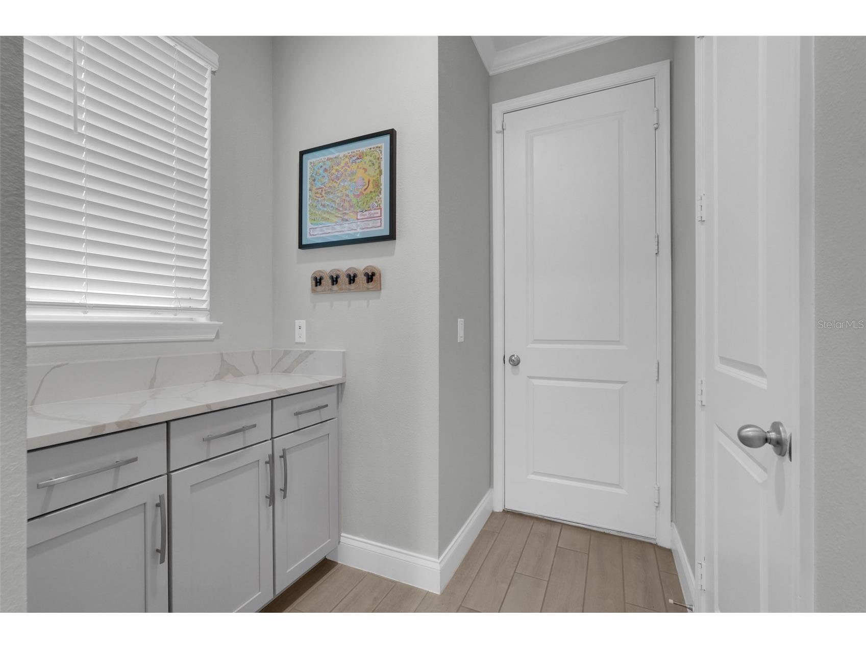 8254 Procida Isle Lane Windermere FL 34786 G5115289 image16