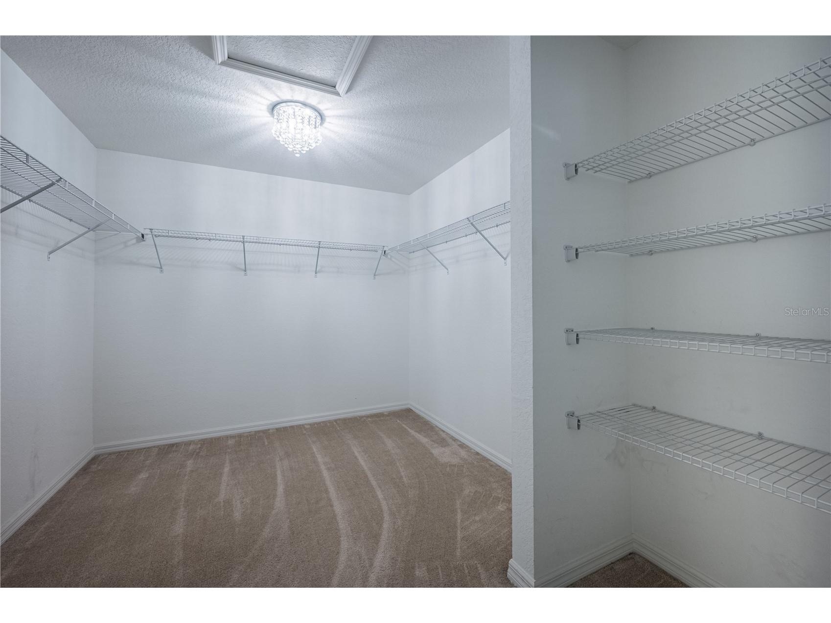 8256 Campbell Crossing Circle Lakeland FL 33810 OM726489 image10