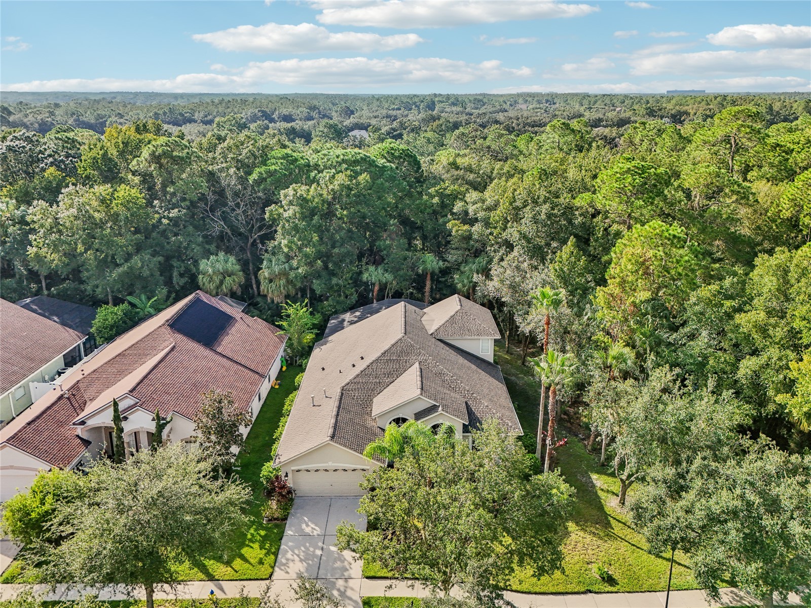 8257 Swann Hollow Drive Tampa FL 33647 TB8459221 image29