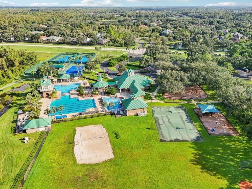 8257 Swann Hollow Drive Tampa FL 33647 TB8459221 image40