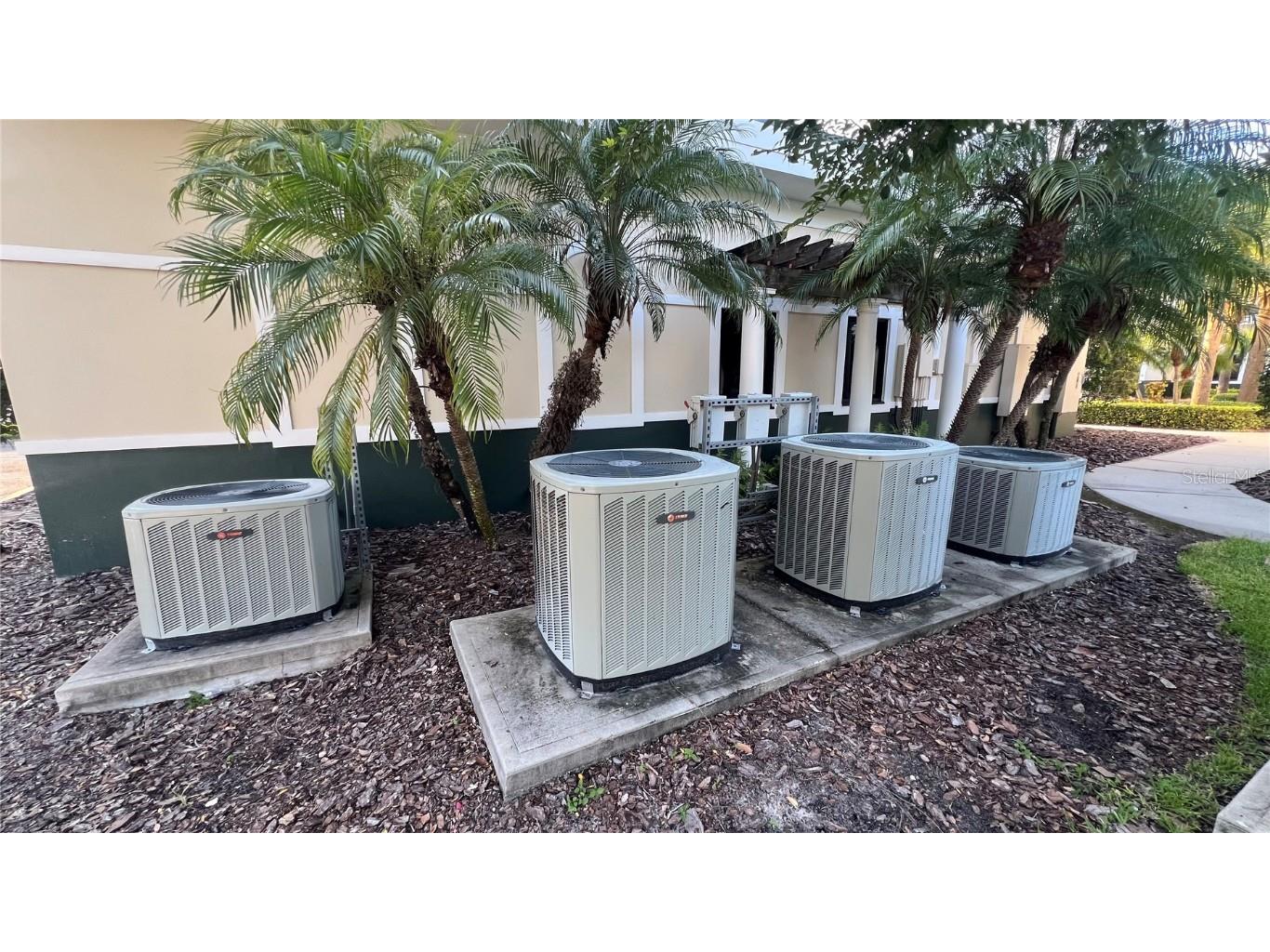 8258 118th Avenue #200/250 Largo FL 33773 TB8437035 image27