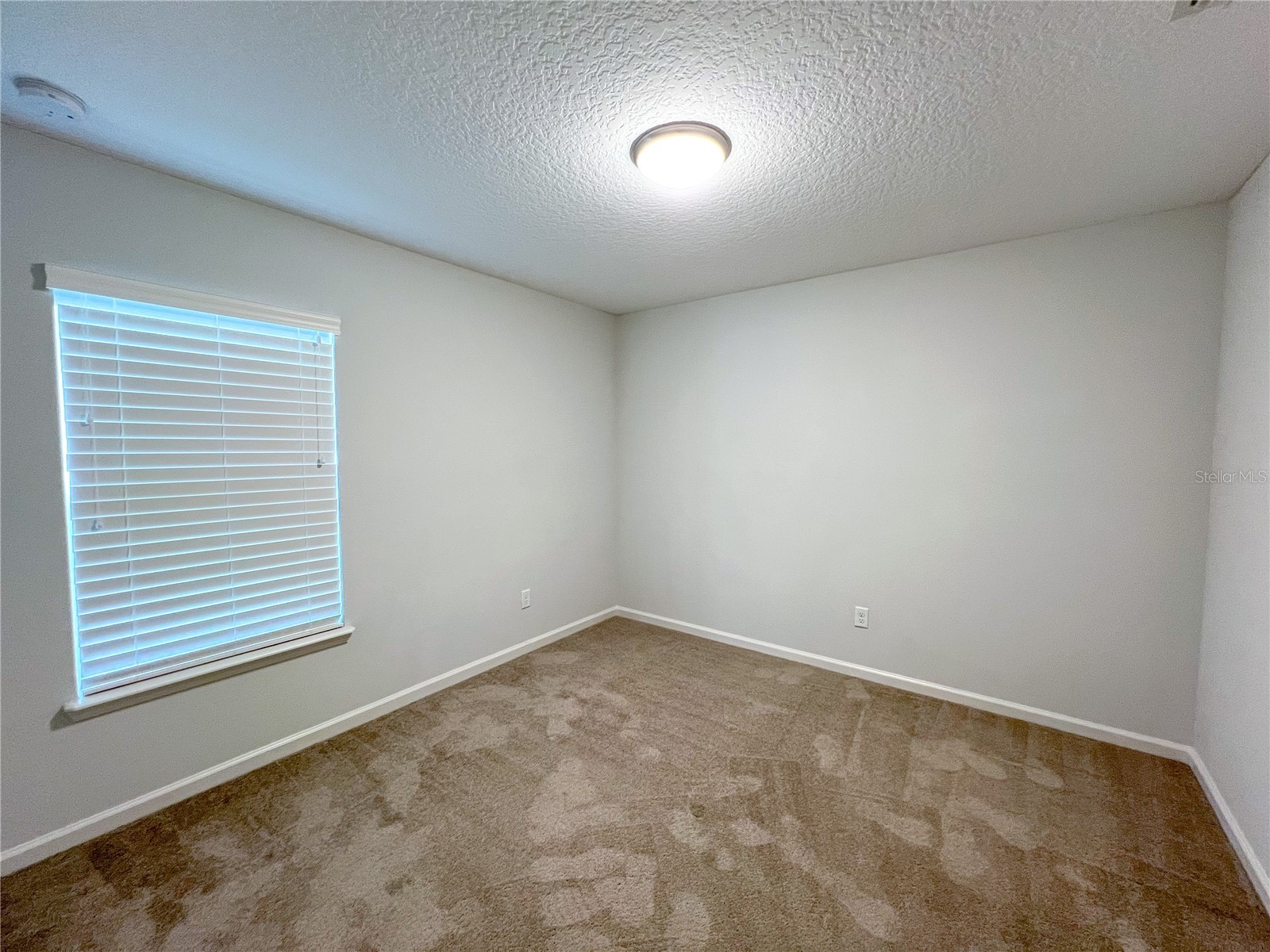 8258 NW 54th Street Gainesville FL 32653 GC539412 image14