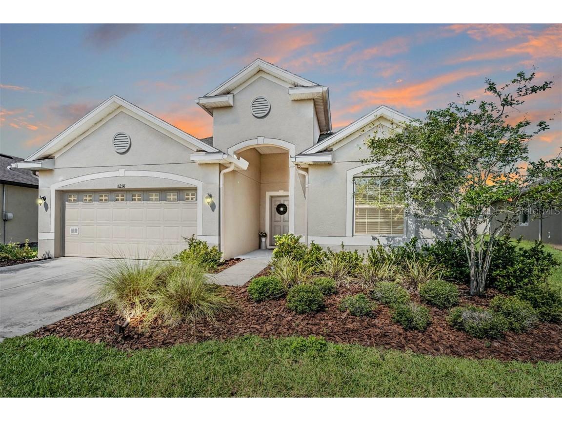 8258 Olive Brook Drive Wesley Chapel FL 33545 - CRYSTAL LAGOON COMMUNITY T3453920 image1