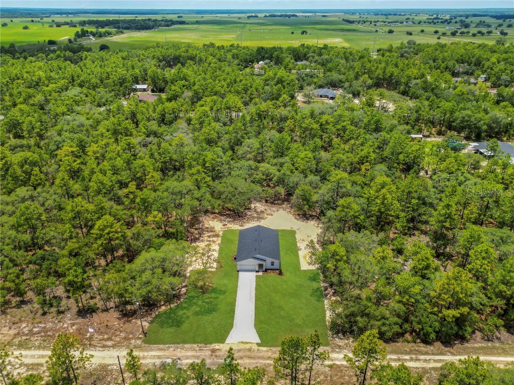 8258 SW 136th Terrace Dunnellon FL 34432 O6308780 image41