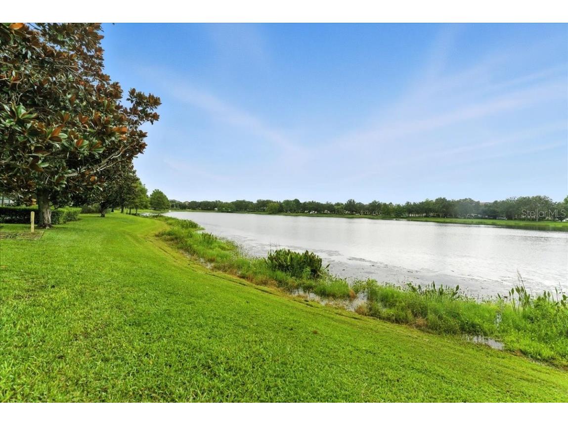 8259 Maritime Flag Street #4 Windermere FL 34786 O6329585 image31