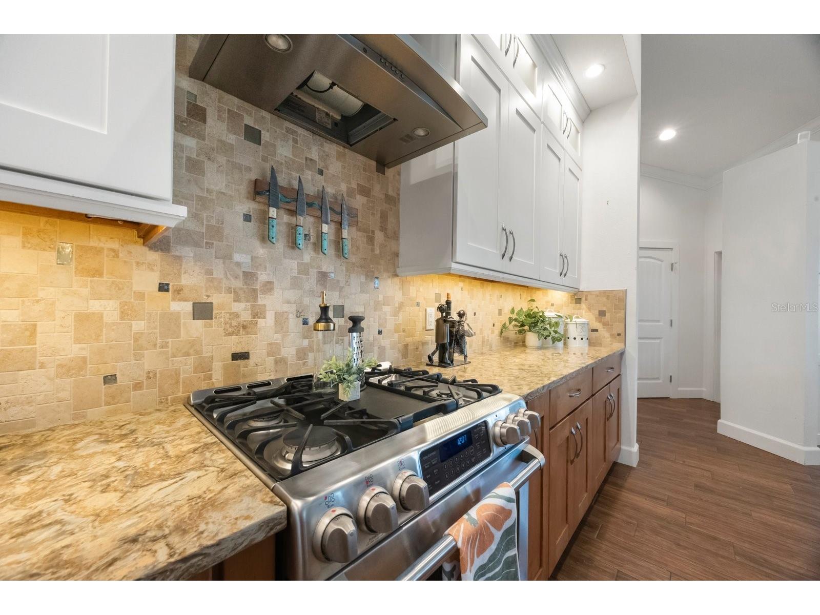 826 Christina Circle Oldsmar FL 34677 - OLD TAMPA BAY TB8467915 image31