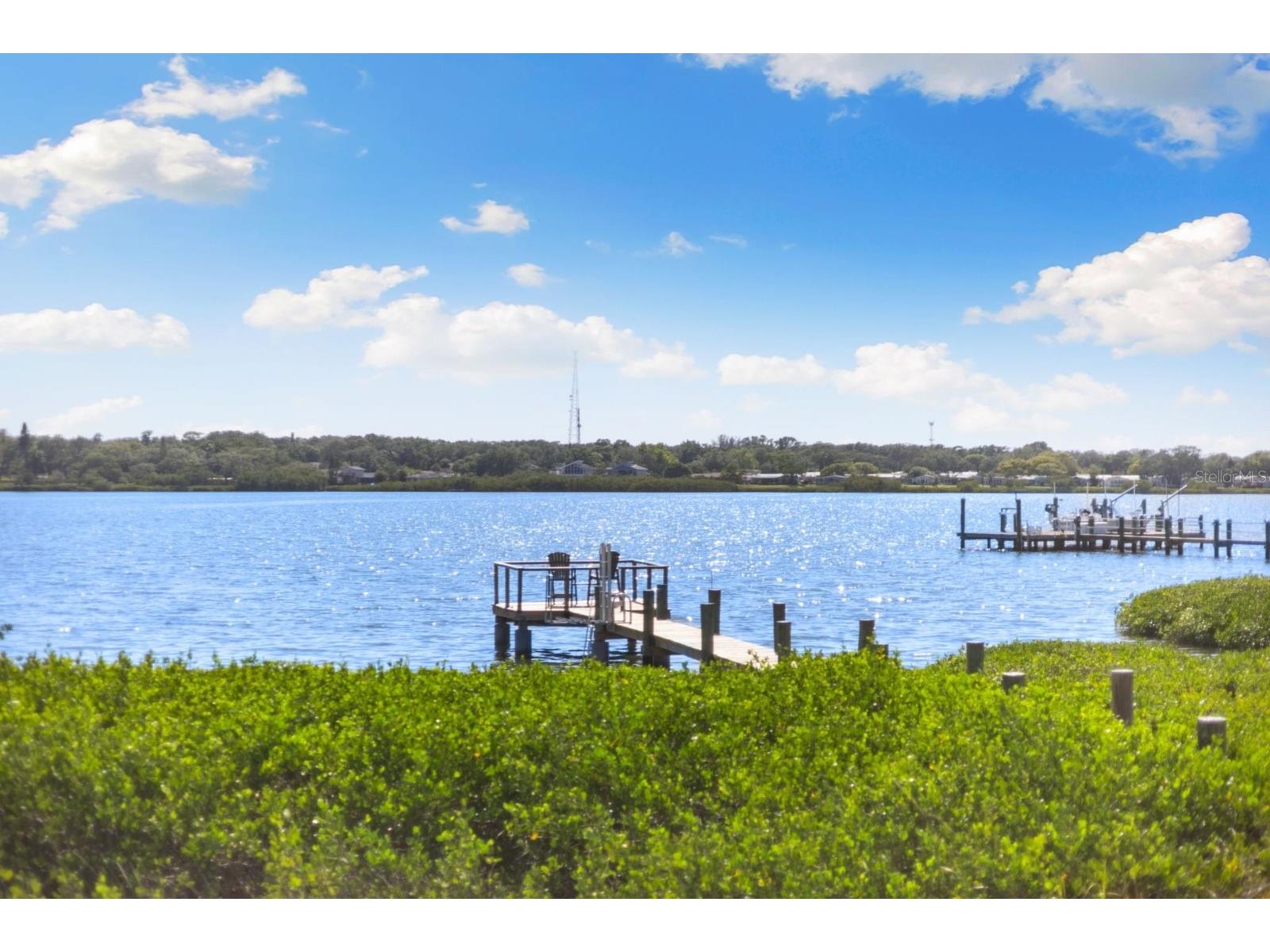826 Christina Circle Oldsmar FL 34677 - OLD TAMPA BAY TB8467915 image55