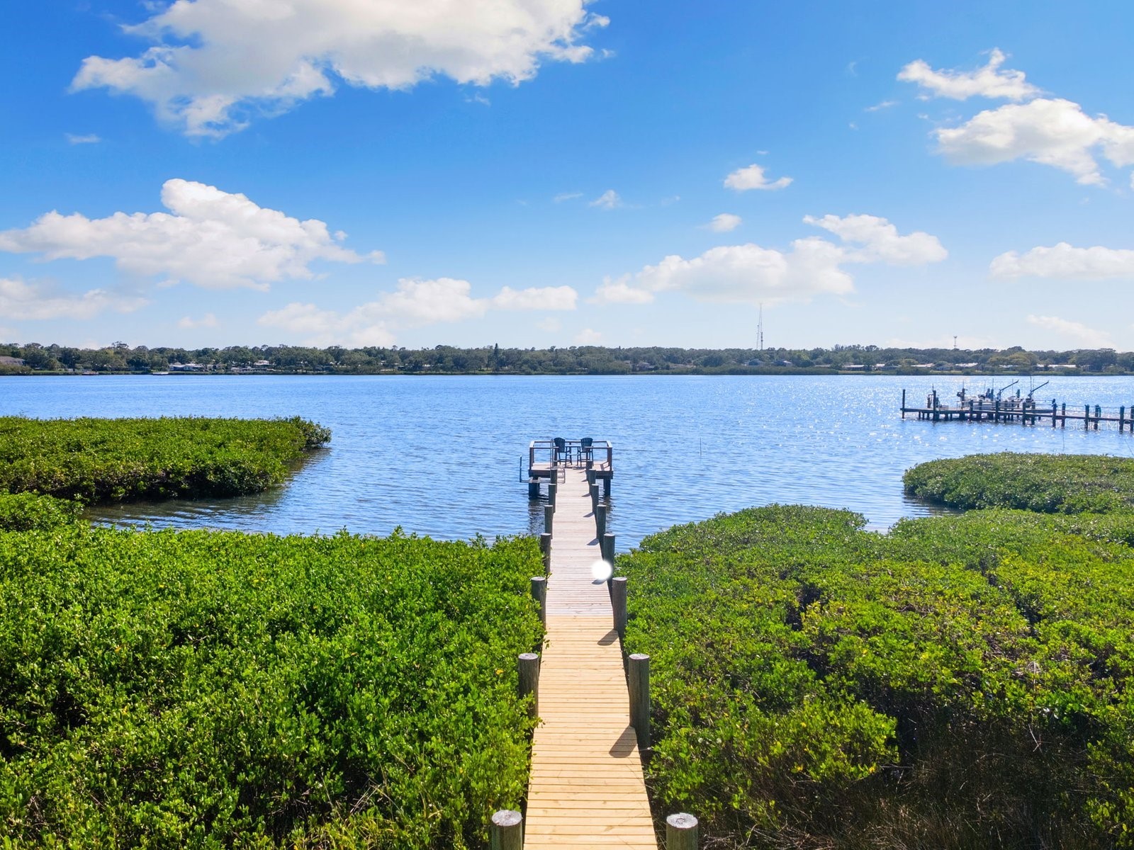 826 Christina Circle Oldsmar FL 34677 - OLD TAMPA BAY TB8467915 image7