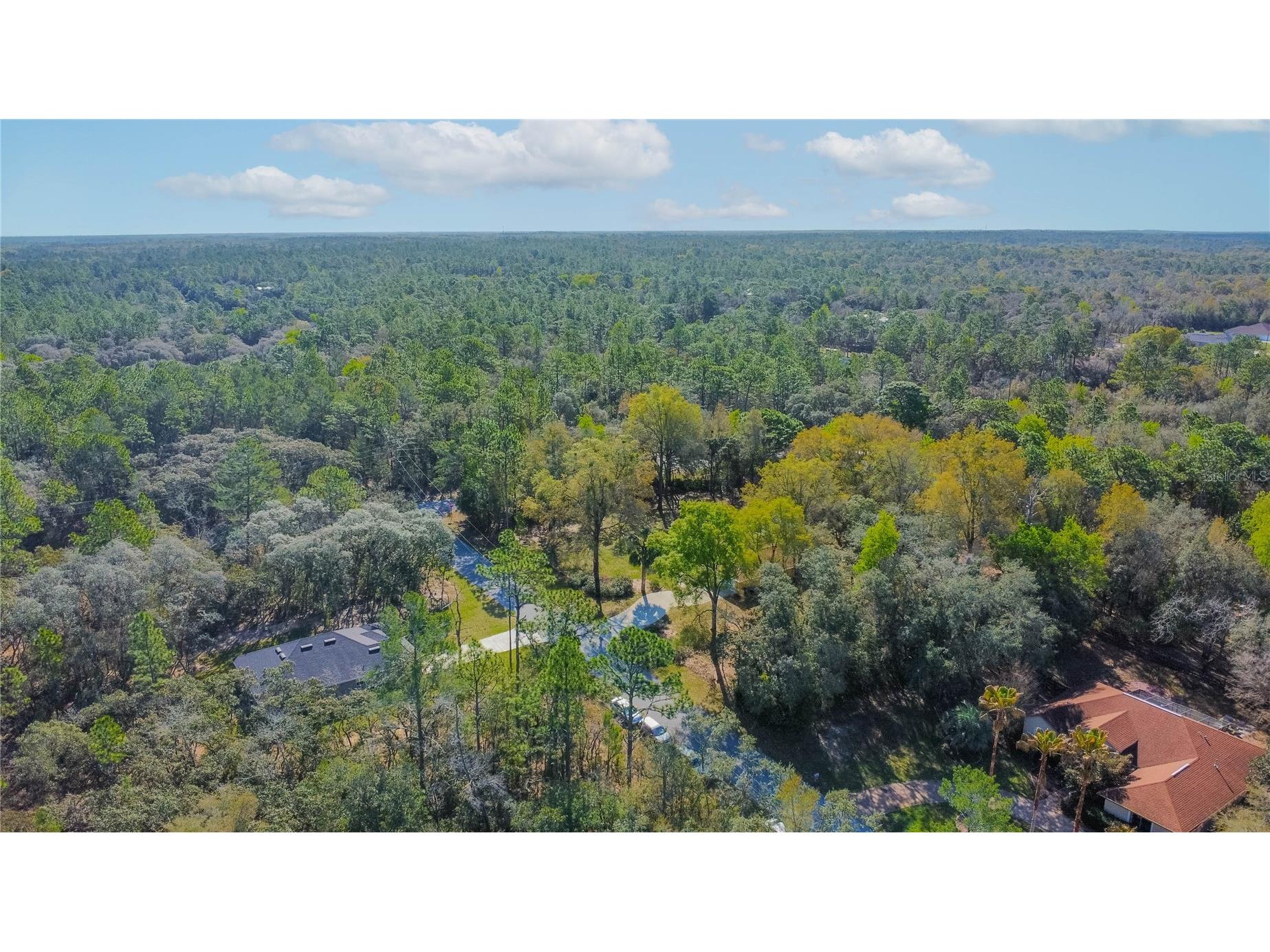 826 E Gaines Lane Hernando FL 34442 OM721018 image50