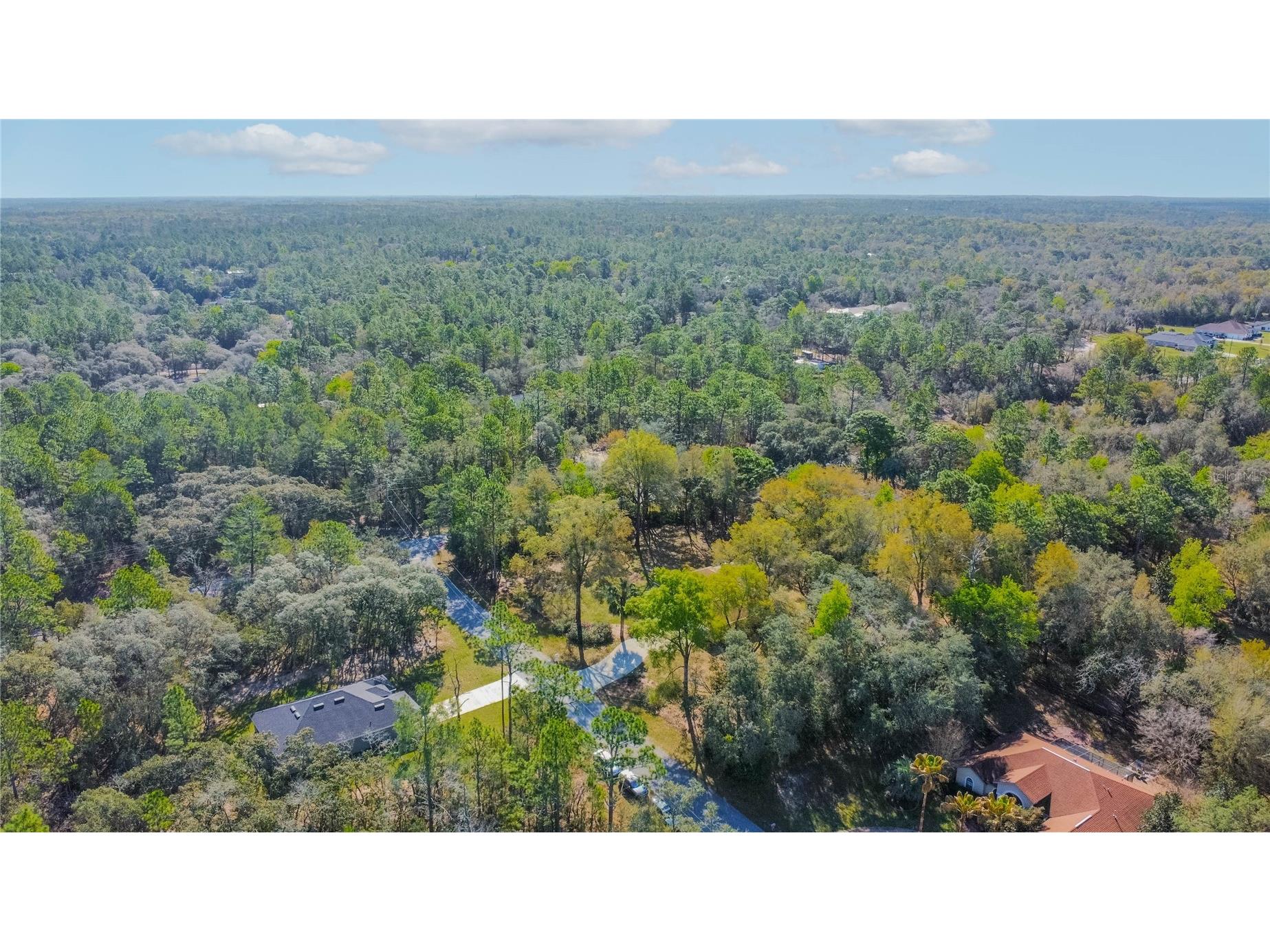 826 E Gaines Lane Hernando FL 34442 OM721018 image51