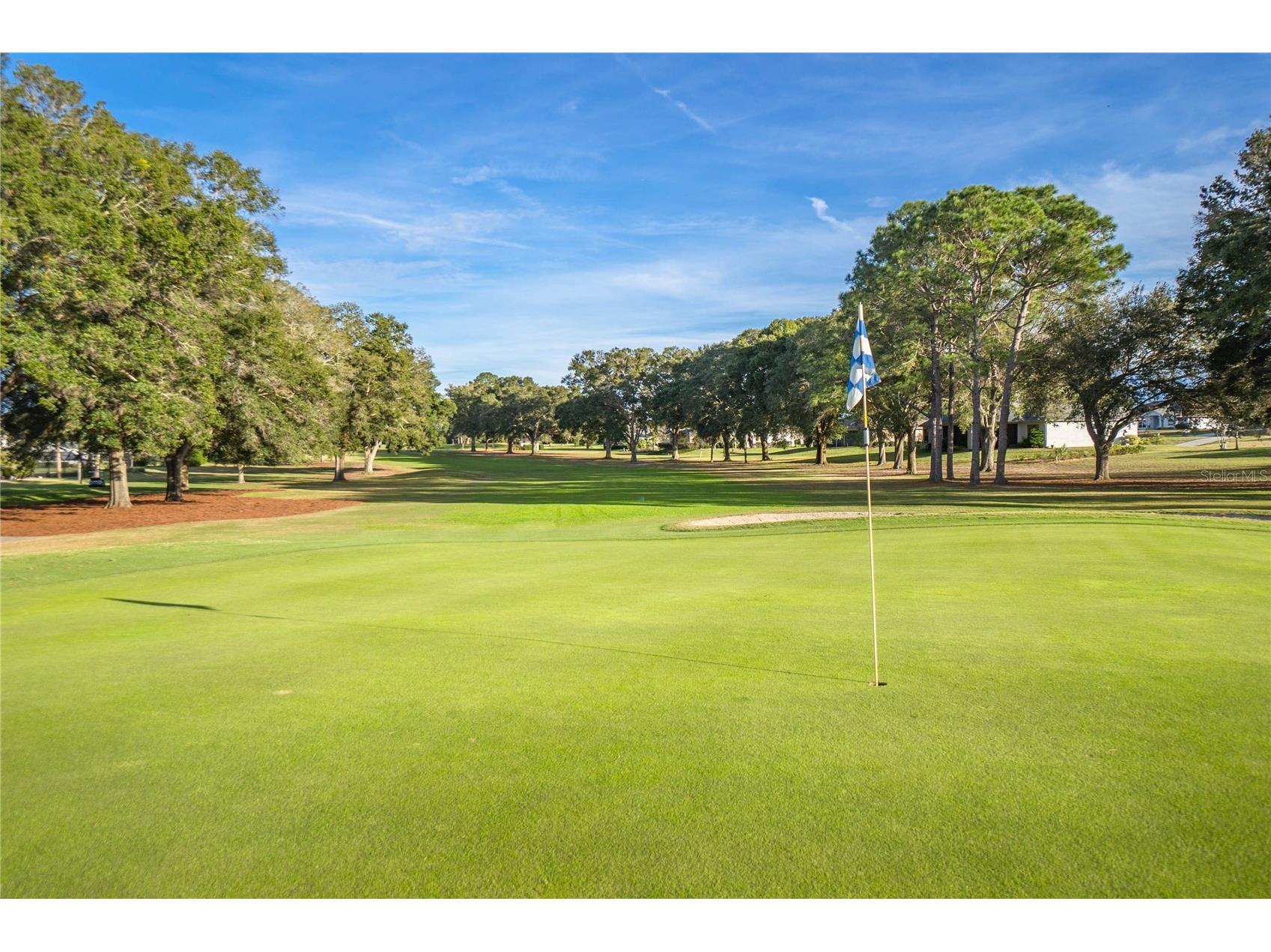 826 E Gaines Lane Hernando FL 34442 OM721018 image64