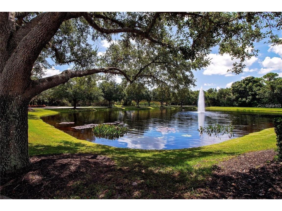 826 Honeyflower Loop Bradenton FL 34212 A4655212 image58