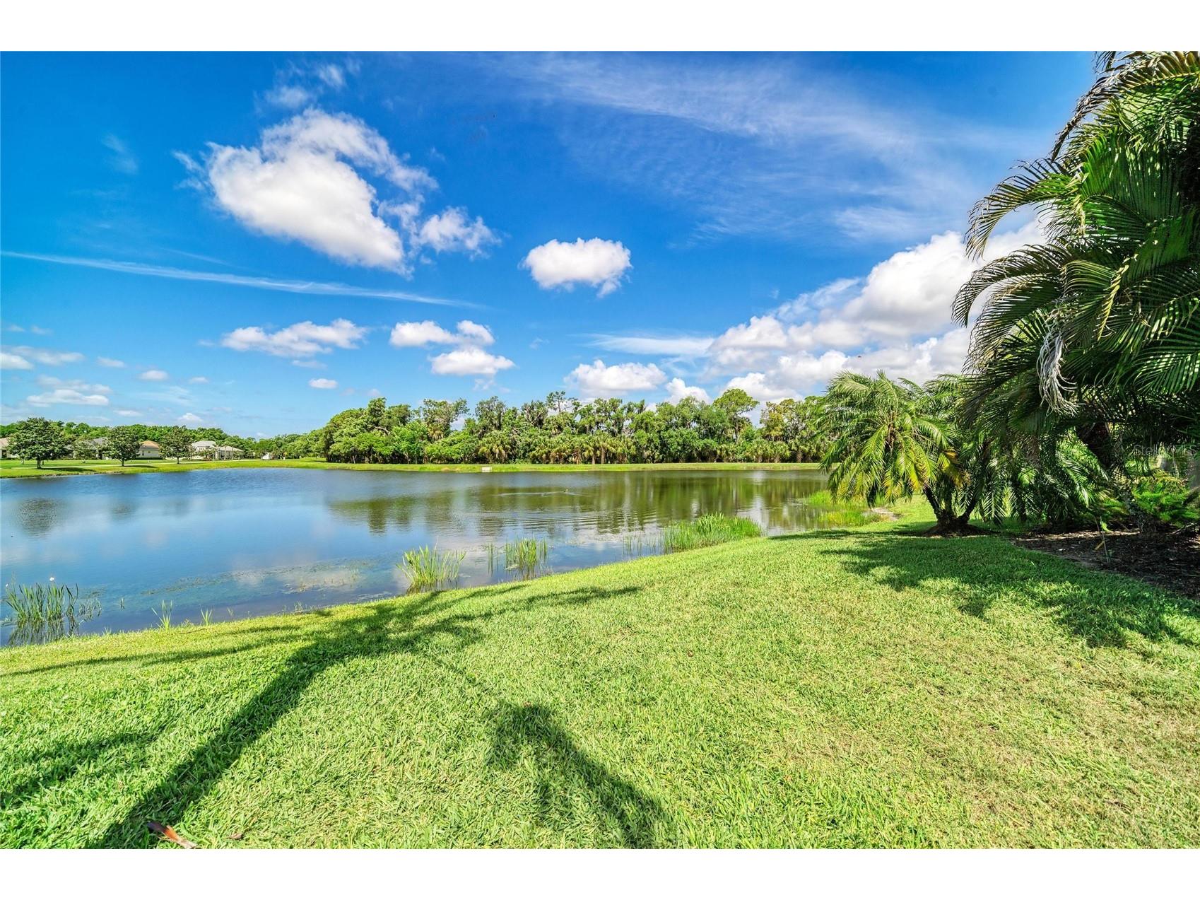 826 Honeyflower Loop Bradenton FL 34212 A4685391 image65