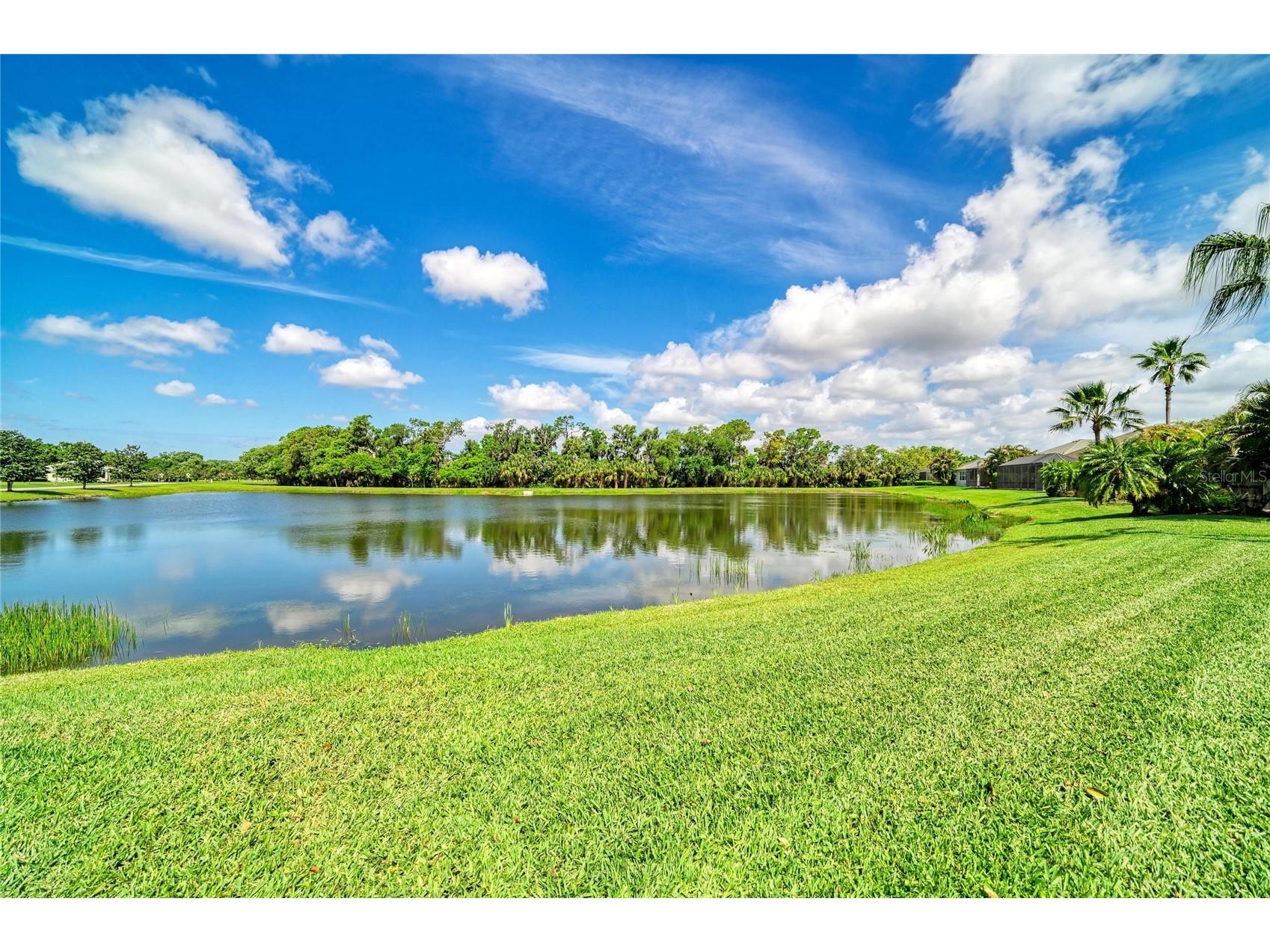 826 Honeyflower Loop Bradenton FL 34212 A4685391 image66