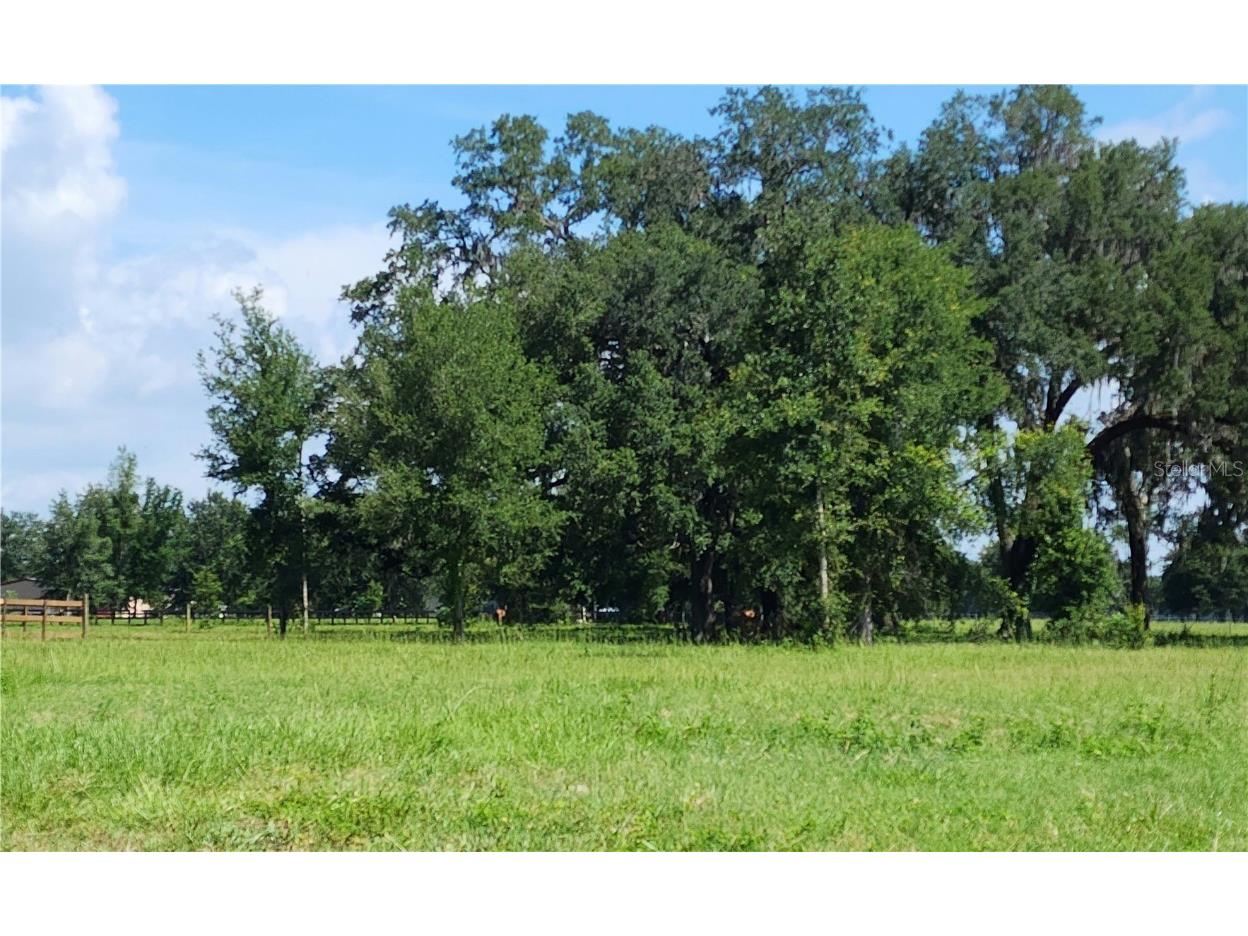 826 NE 107th Road Oxford FL 34484 T3457367 image1