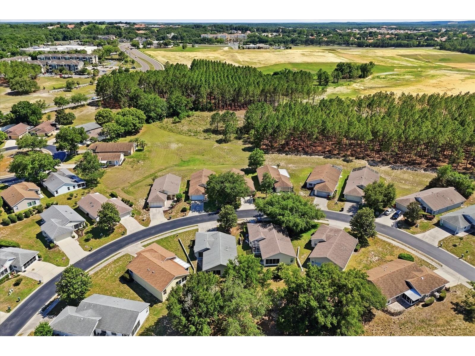 826 W Cockatiel Loop Hernando FL 34442 OM725250 image38