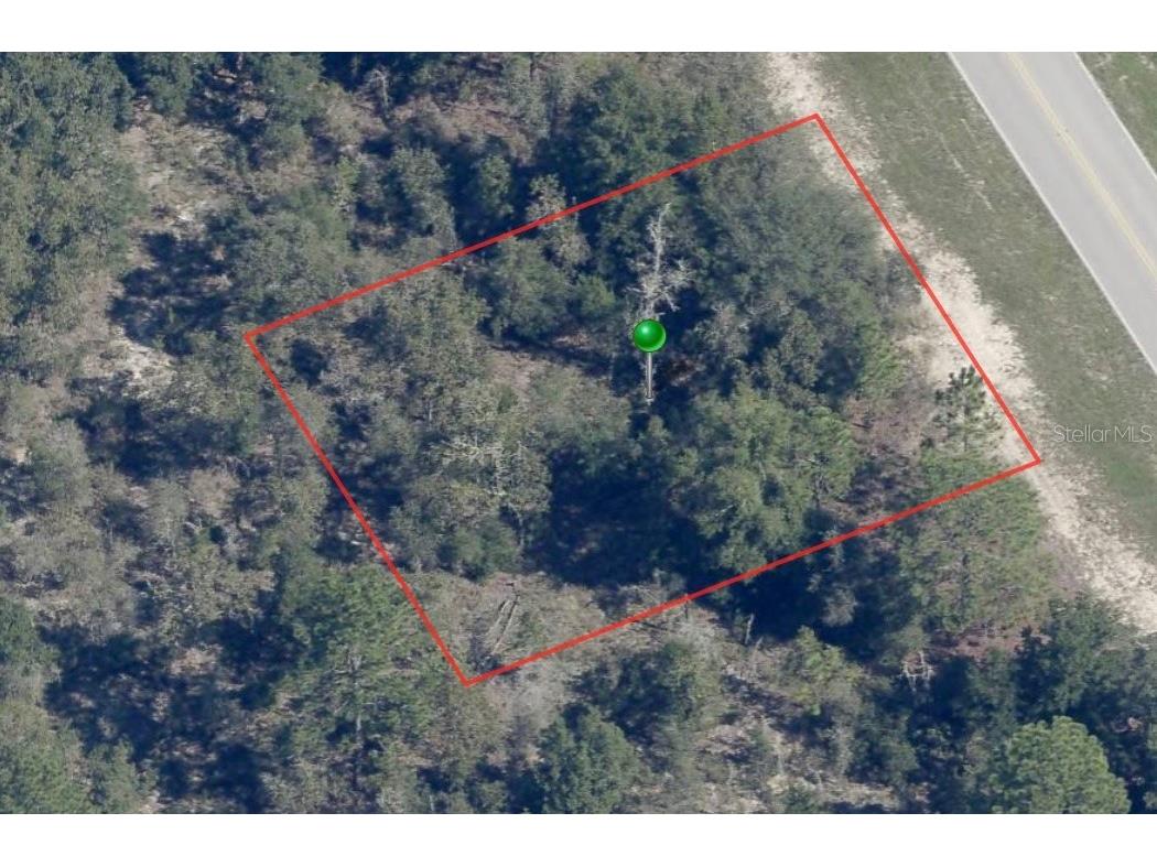 8260 N Elkcam Boulevard Citrus Springs FL 34433 A4561450 image1