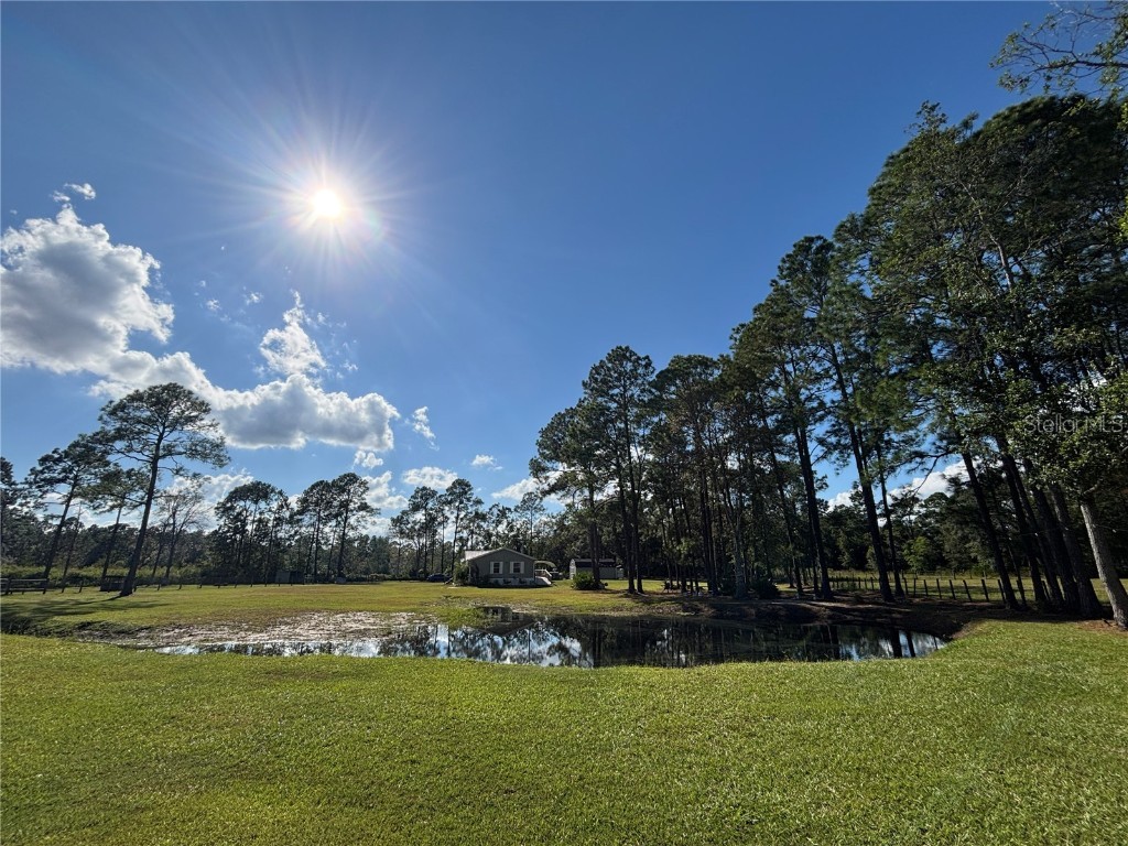 8260 SE 175th Court Ocklawaha FL 32179 OM712012 image73