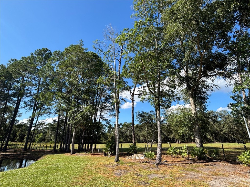 8260 SE 175th Court Ocklawaha FL 32179 OM712012 image74