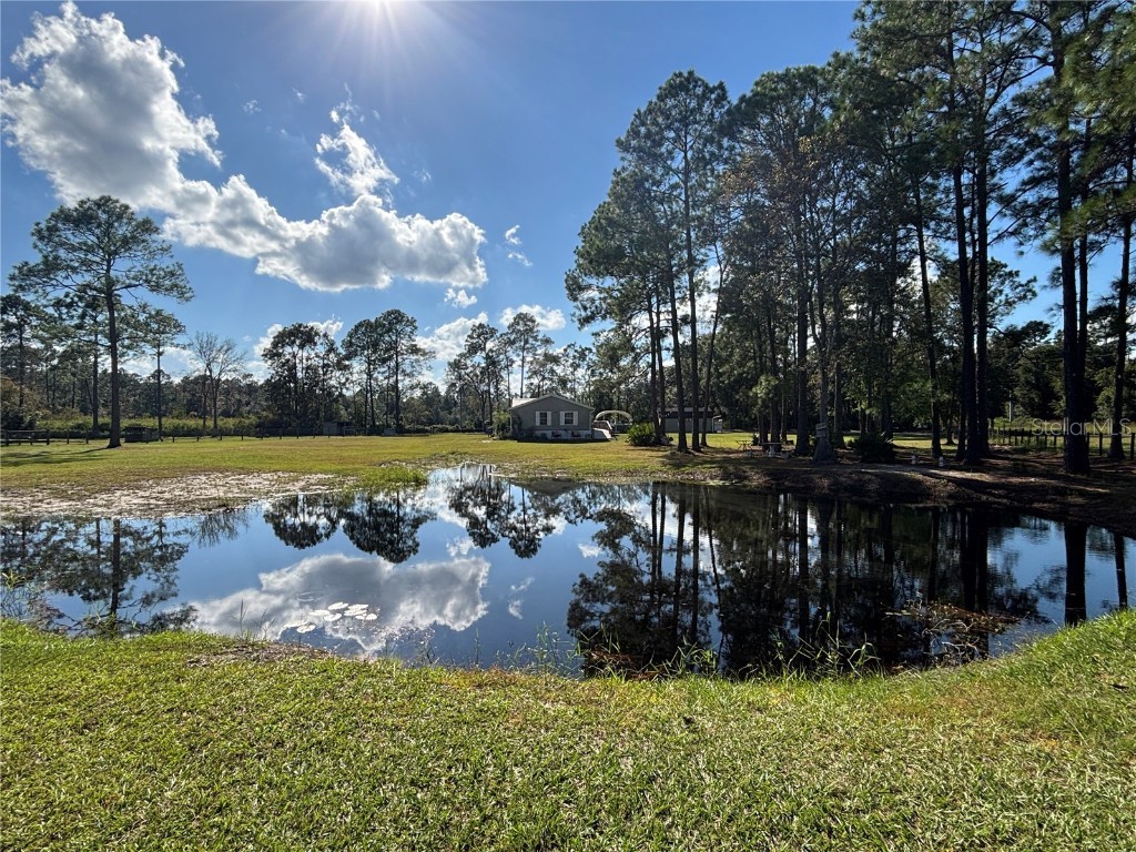 8260 SE 175th Court Ocklawaha FL 32179 OM712012 image75