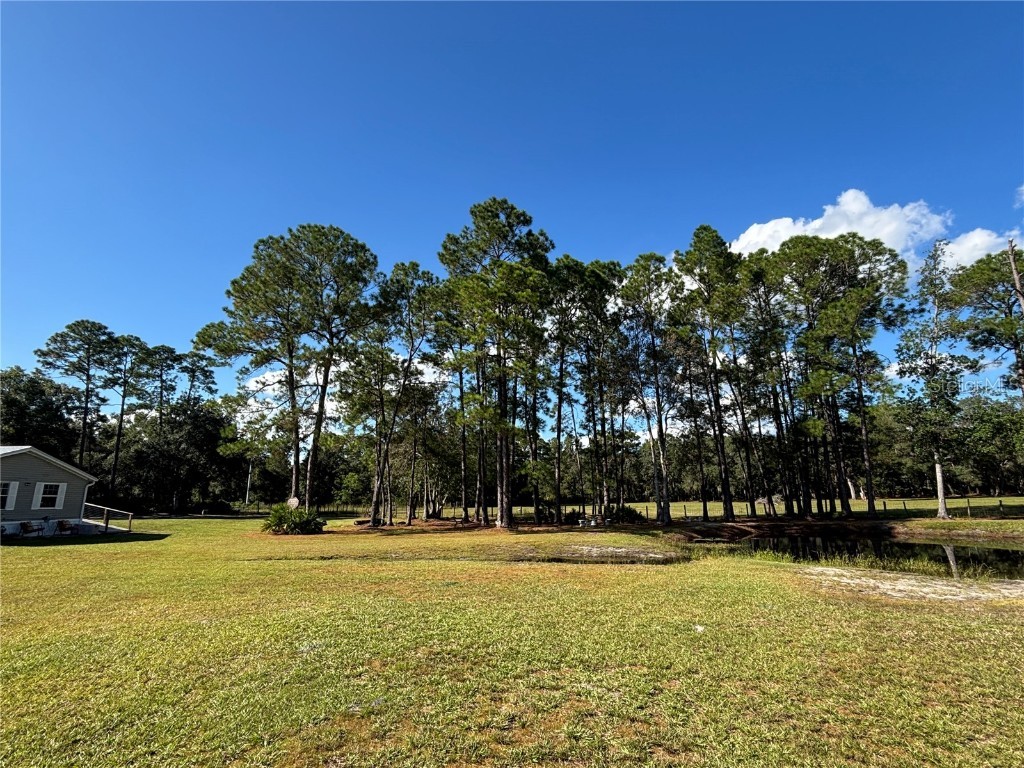 8260 SE 175th Court Ocklawaha FL 32179 OM712012 image77