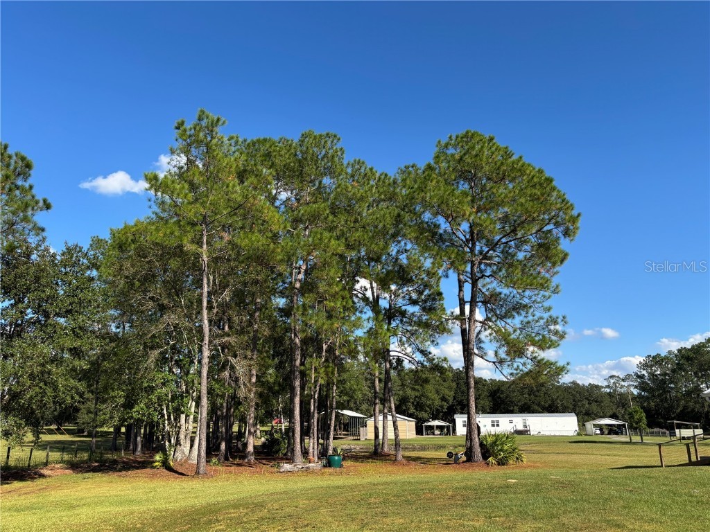 8260 SE 175th Court Ocklawaha FL 32179 OM712012 image79