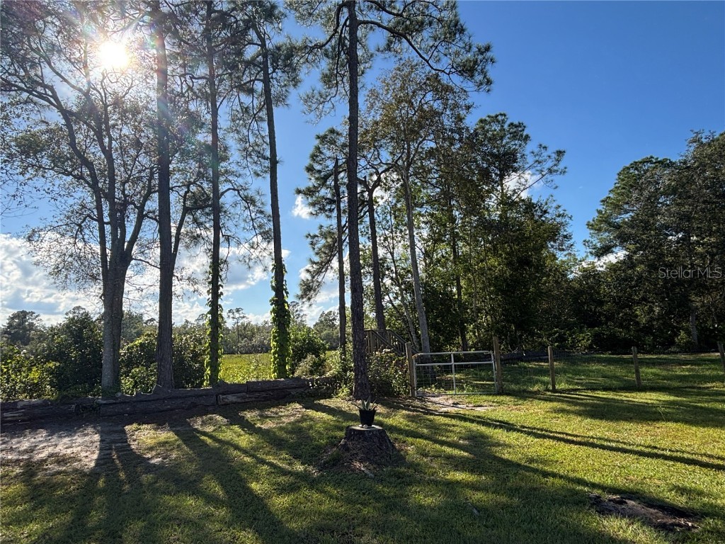 8260 SE 175th Court Ocklawaha FL 32179 OM712012 image80