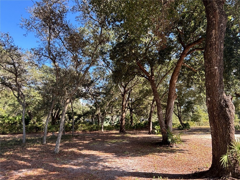 8260 SE 175th Court Ocklawaha FL 32179 OM712012 image82